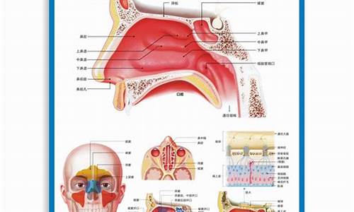 163医院儿科_163医院耳鼻喉科