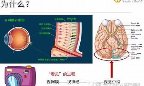 神经眼科疾病有哪些种类_神经眼科疾病有哪些