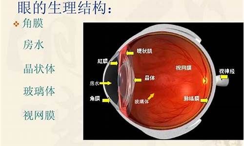 眼科的基本知识大全_眼科基本常识