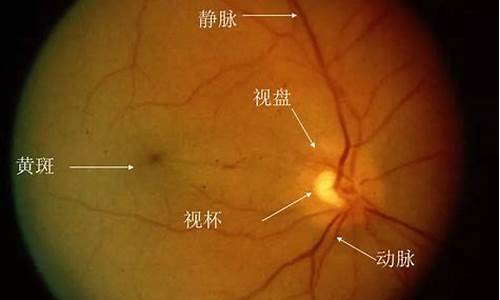 上海眼科疾病_上海眼科疾病防治中心 康定路和虹桥路哪个是老院